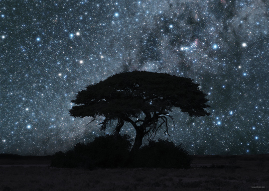 Als Poster im Shop erh&auml;ltlich -->