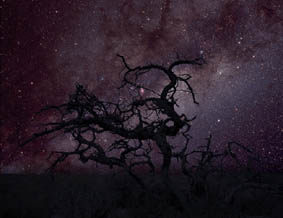 Copyright Sebastian Voltmer