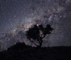 Copyright Sebastian Voltmer