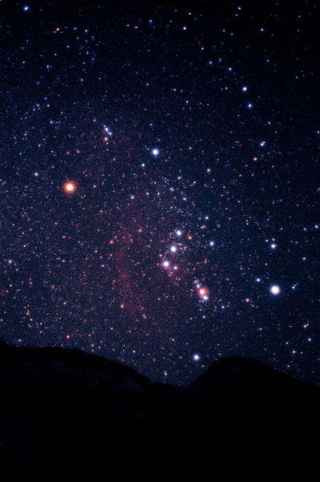 Copyright Sebastian Voltmer