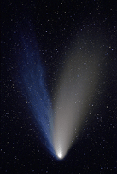 Copyright Sebastian Voltmer