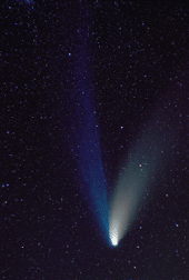 Copyright Sebastian Voltmer