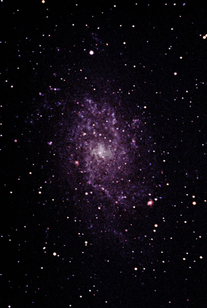 Copyright Sebastian Voltmer