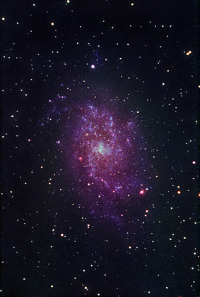 Copyright Sebastian Voltmer