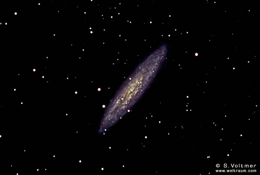 Copyright Sebastian Voltmer