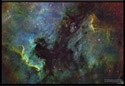 NGC 7000