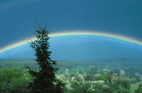 Copyright Sebastian Voltmer