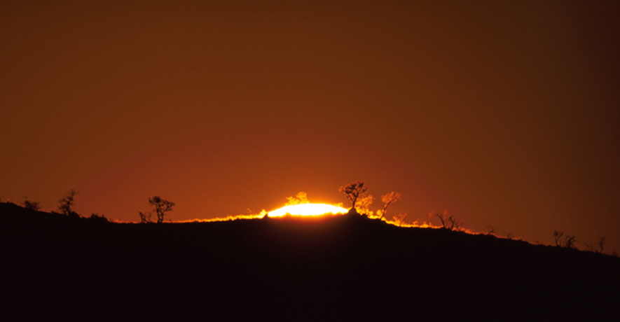 Copyright Sebastian Voltmer