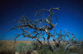 Copyright Sebastian Voltmer