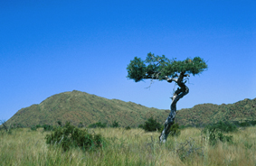 Copyright Sebastian Voltmer